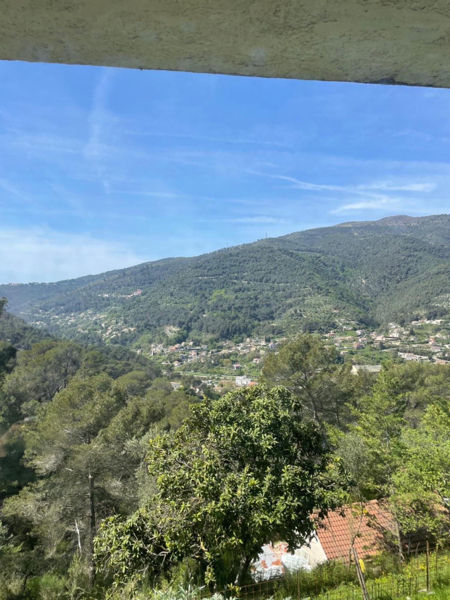 Charme Provencal Pres De Nice Blausasc Bagian luar foto