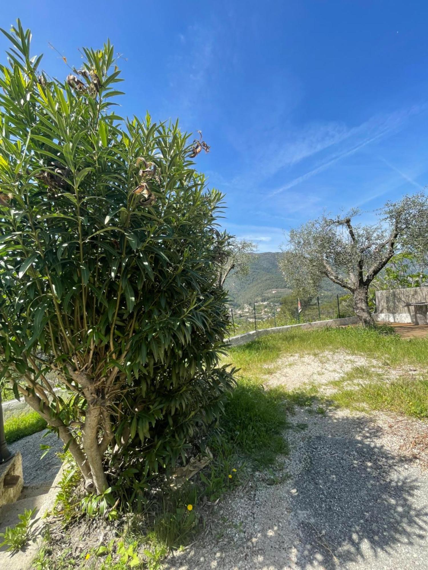 Charme Provencal Pres De Nice Blausasc Bagian luar foto